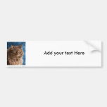 Gandalf - Silver Tabby Cat Art Bumper Sticker