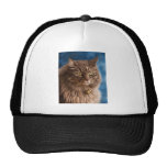 Gandalf - Silver Tabby Cat Art Mesh Hats