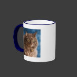 Gandalf - Silver Tabby Cat Art Coffee Mugs