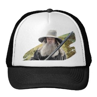 Gandalf With Sword Green Mesh Hats