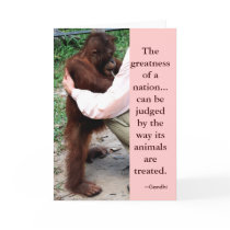 Gandhi Quote : Animal Greeting Card by Rebecca_Reeder Gandhi Quote : Animal Greeting Card