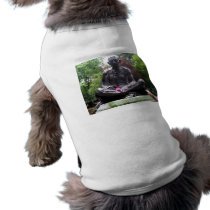 Gandhi statue pet clothing by Onomonopia Gandhi statue pet clothing