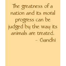 Gandhi t-shirts