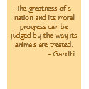 Gandhi t-shirts