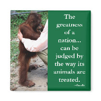 Gandhi's Animal Quotation magnets by Rebecca_Reeder Gandhi's Animal Quotation magnets