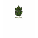 Ganesh Brown T-shirt