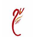 Ganesh t-shirts