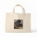 Gang Gang Cockatoo striped bag by Lisachromis Gang Gang Cockatoo striped bag