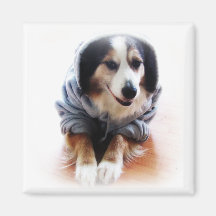 Gangsta Dog Wearing Hoodie Fridge Magnets