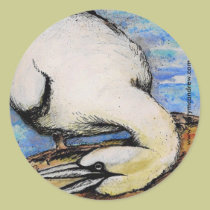 Gannet - Bird Stickers stickers