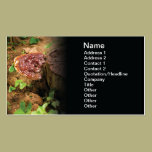 Ganoderma Lucidum tarjetas de negocio