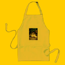 gansos aprons