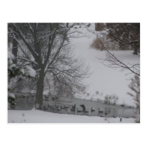 Gansos en invierno tarjetas postales