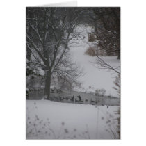 Gansos en invierno tarjetas