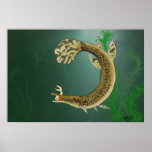 gar posters