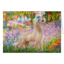 Garden - Afghan Hound (cream stand) Card