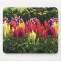 Garden at Elizabeth Park mousepad