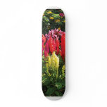 Garden at Elizabeth Park Skateboard