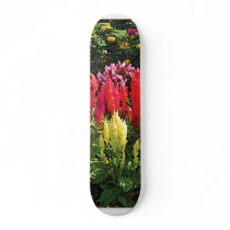 Garden at Elizabeth Park Skateboard