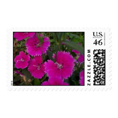 Garden Beauties Stamps by nbrown2