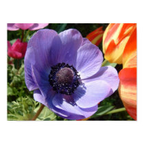 Garden Beauty Closeup posters by javierz Garden Beauty Closeup posters