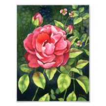 Garden Beauty - Floral Art Print Photo Print