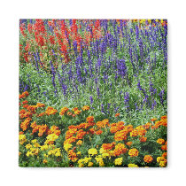 Garden Beauty Flower Photo Magnet