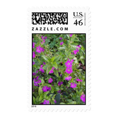 Garden Beauty Postage by nbrown2