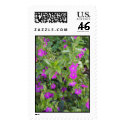 Garden Beauty postage