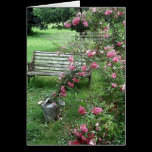 Garden Bench and Roses Card cards