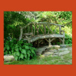 garden, bench, hostas, hosta plants, peaceful,