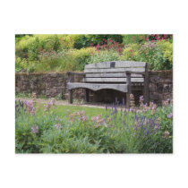 Garden Bench Postcard by emele1 Garden Bench Postcard
