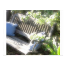 Garden Bench Postcard