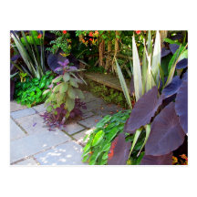 Garden Bench Postcards