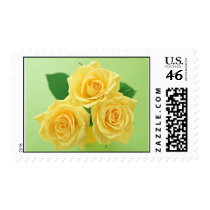 Garden Bounty 3 Postage