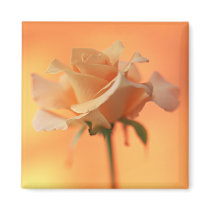 Garden Bounty 5 Magnet