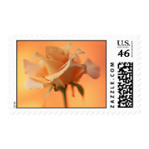 Garden Bounty 5 Stamp