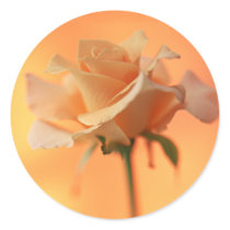 Garden Bounty 5 Sticker