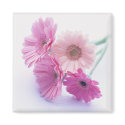 Garden Bounty 8 magnets