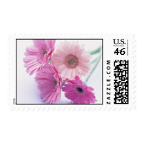 Garden Bounty 8 Stamps