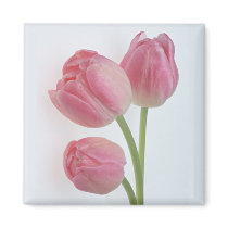 Garden Bounty 9 Refrigerator Magnets