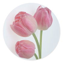 Garden Bounty 9 Sticker