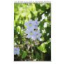 Garden Calendar