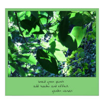 Garden Canvas Haiku Art Print