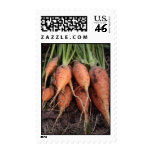 Garden carrots postage stamp
