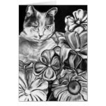 Garden Cat Cards