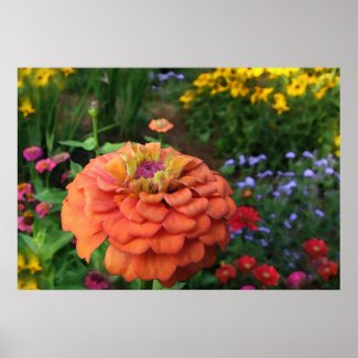 Garden Colors print