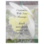 Garden Daffodil In Early Spring flyers