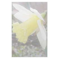 Garden Daffodil In Early Spring Stationery Paper