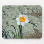 Garden Daffodil Mousepad mousepads